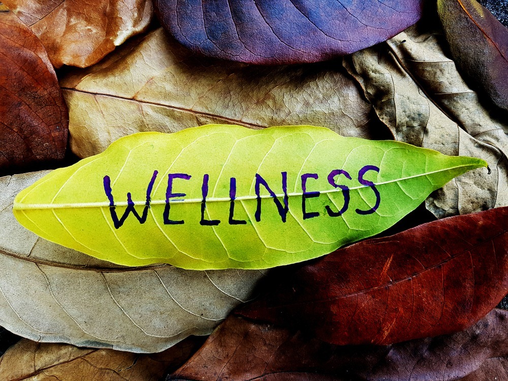 Your Guide to Emotional Wellness: Achieving Balance in the New Year